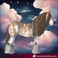 Horse Color:Buckskin Sabino Varnish 