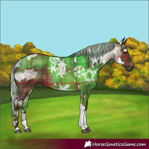 Horse Color:Gray Plaid White Spotted Silver Brown Ice Dun Tobiano