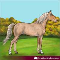 Horse Color:Red Roan 