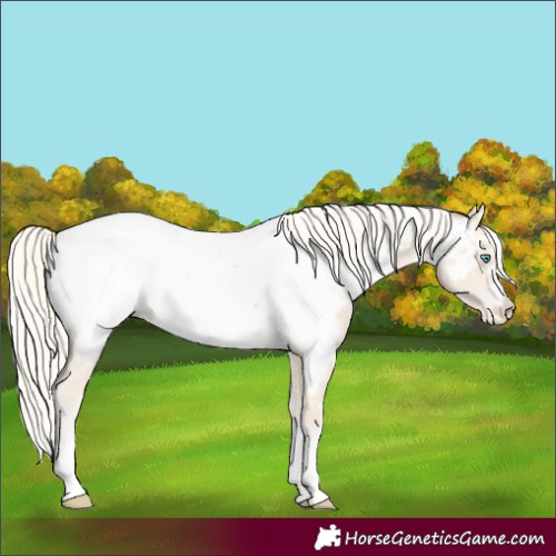 Horse Color:Cremello Near Fewspot 