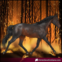 Horse Color:Brown Rabicano