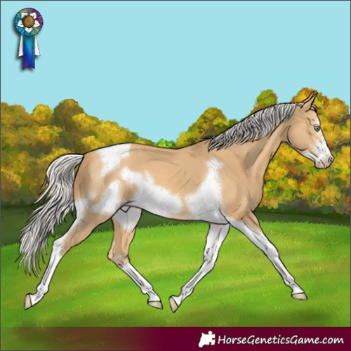 Horse Color:Silver Sable Cream Champagne Sabino Tobiano Frame 