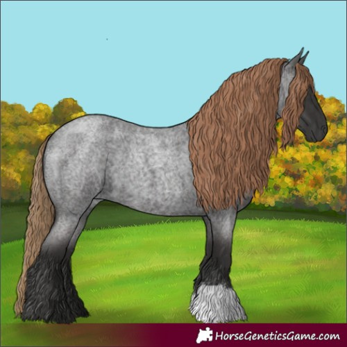 Horse Color:Liver Red Roan 