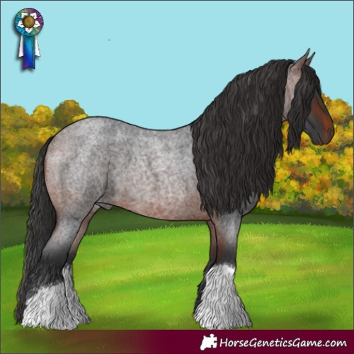 Horse Color:Brown Roan 