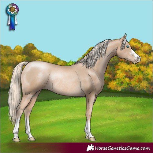 Horse Color:Chocolate Palomino Pearl Rabicano