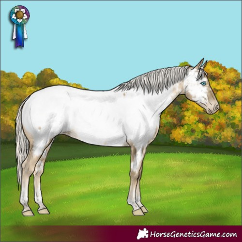 Horse Color:Silver Buckskin Pearl Tobiano Appaloosa Rabicano 