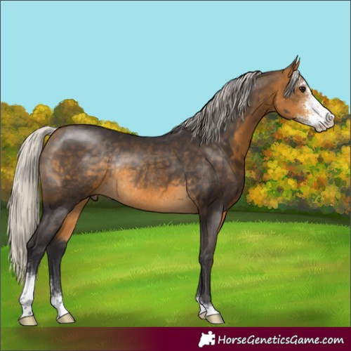 Horse Color:Silver Buckskin Sabino Rabicano