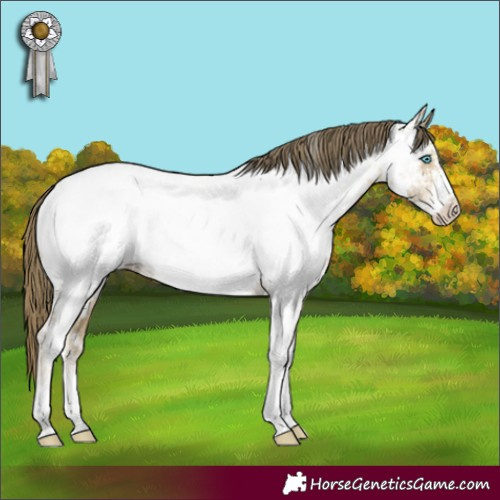 Horse Color:Buckskin Pearl Sabino Appaloosa Rabicano 