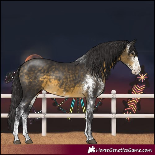 Horse Color:Buckskin Sabino