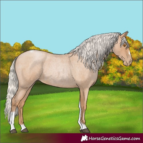 Horse Color:Silver Blue Roan Pearl Tobiano Frame 