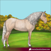 Horse Color:Silver Blue Roan Pearl Tobiano Frame