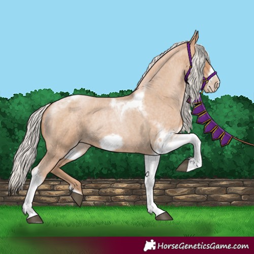 Horse Color:Silver Blue Roan Pearl Tobiano Frame