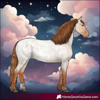 Horse Color:Red Dun Roan Near Leopard  and Red Dun Roan Near Leopard Rabicano 