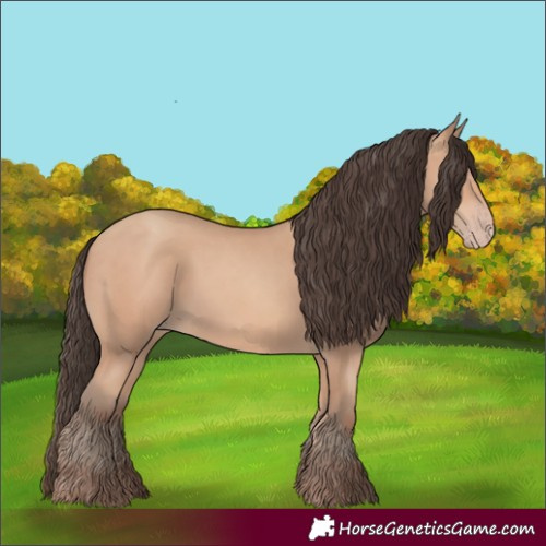 Horse Color:Amber Champagne Rabicano