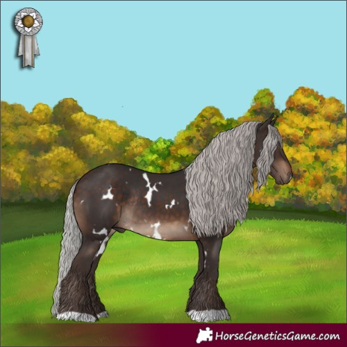 Horse Color:White Spotted Silver Brown Rabicano 