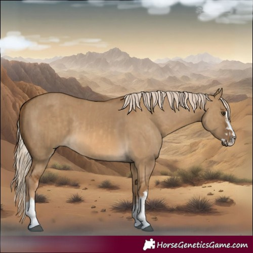 Horse Color:Chocolate Palomino Dun  and Chocolate Palomino Dun 