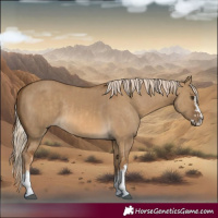Horse Color:Chocolate Palomino Dun and Chocolate Palomino Dun