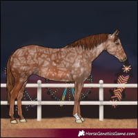 Horse Color:Chestnut Ice