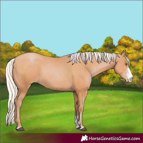 Horse Color:Silver Bay Pearl Sabino