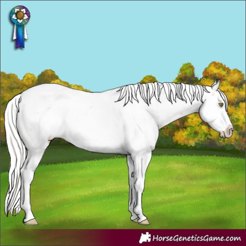 Horse Color:Silver Amber Champagne Sabino