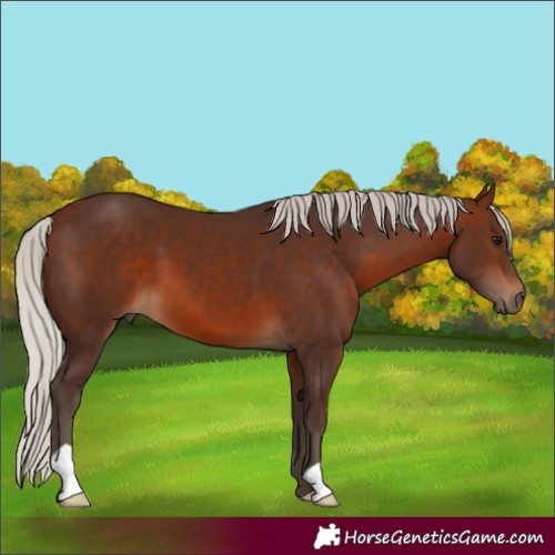 Horse Color:Silver Brown 