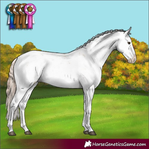 Horse Color:Chestnut Sabino 