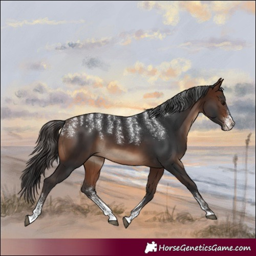 Horse Color:Powder White Brown