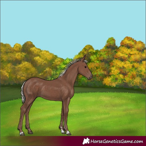 Horse Color:Silver Black 
