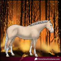 Horse Color:Silver Classic Champagne Dun Splash