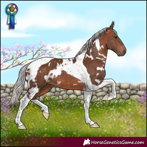 Horse Color:White Spotted Silver Bay Tobiano