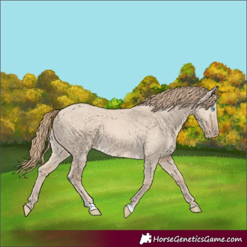 Horse Color:Perlino Dun 