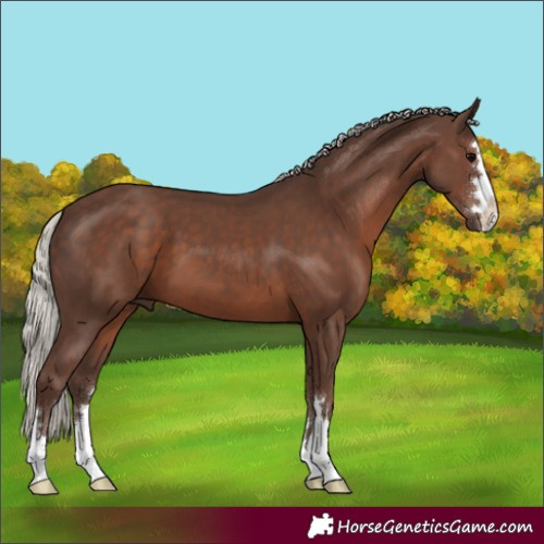 Horse Color:Silver Black 