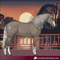 Horse Color:Silver Grullo 
