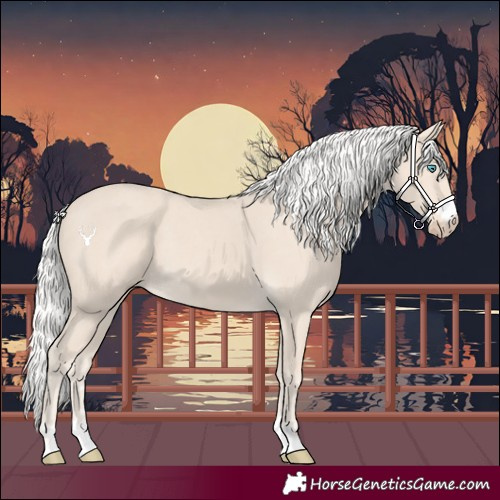 Horse Color:Silver Smoky Creme 