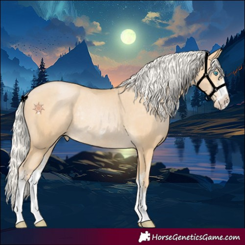 Horse Color:Silver Buckskin Pearl Sabino Rabicano 