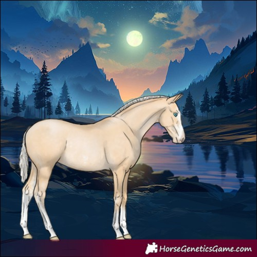 Horse Color:Silver Buckskin Pearl Sabino Rabicano