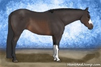 Horse Color:Brown 