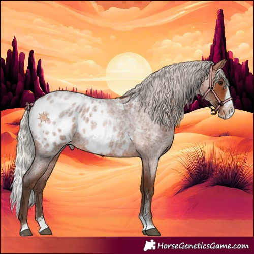 Horse Color:Silver Brown Roan Sabino Splash Blanket 