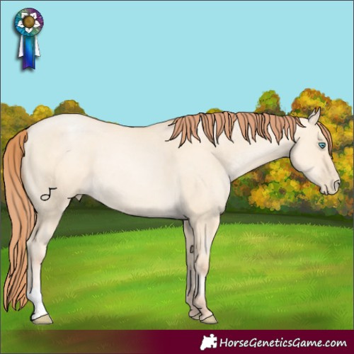 Horse Color:Classic Cream Champagne Pearl Dun