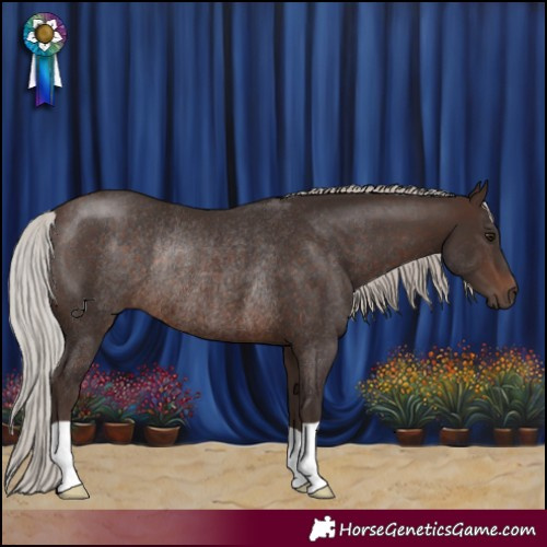Horse Color:Silver Brown Rabicano