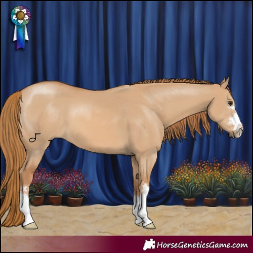 Horse Color:Red Dun