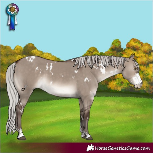 Horse Color:White Spotted Silver Brown Dun Mushroom Sabino