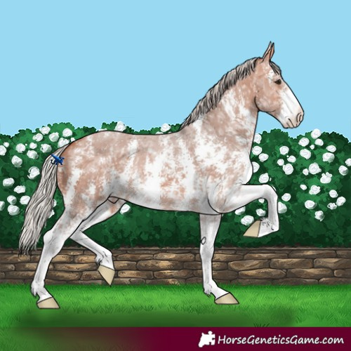 Horse Color:Silver Bay Ice Sabino