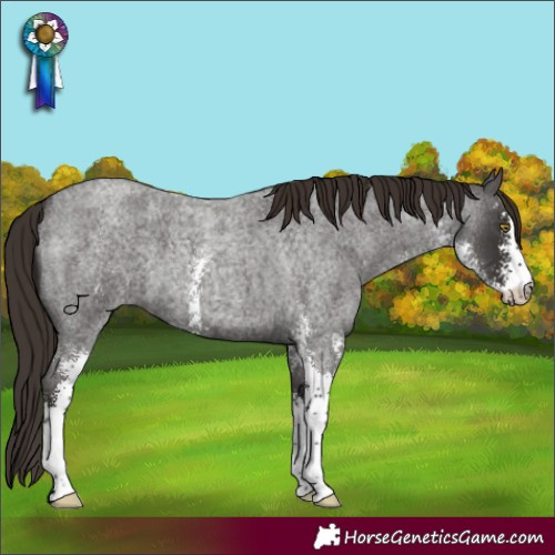 Horse Color:Liver Red Roan Sabino