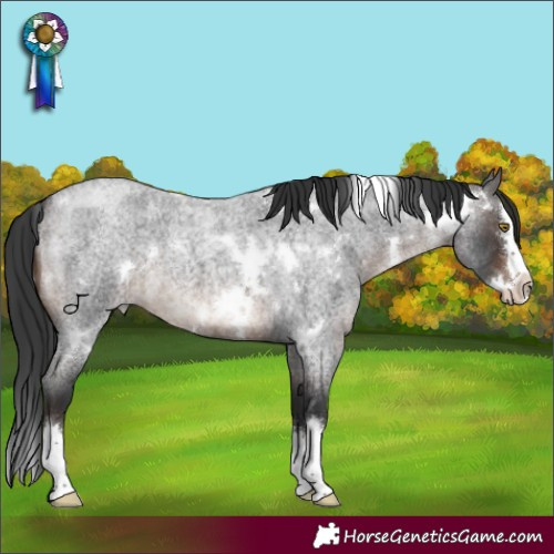 Horse Color:White Spotted Brown Roan Splash