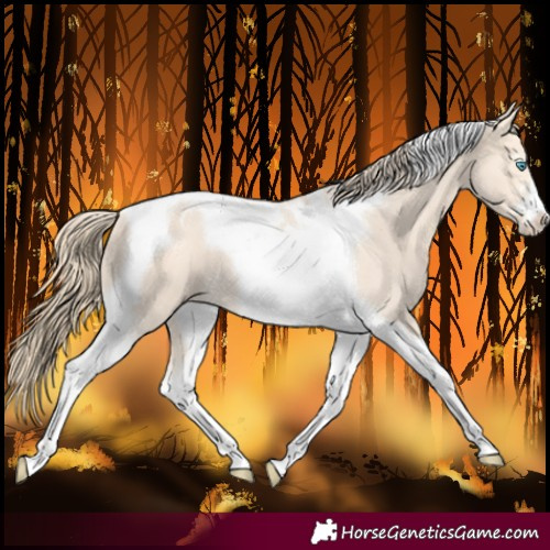 Horse Color:Perlino Tobiano Varnish 