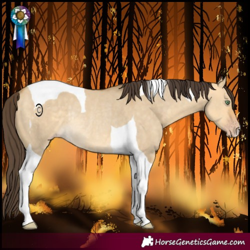 Horse Color:Sable Cream Champagne Dun Tobiano Rabicano 