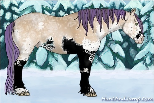 Horse Color:Painted Amber Champagne Ice Splash 