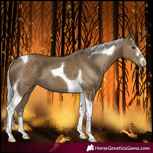 Horse Color:Silver Smoky Black Tobiano 