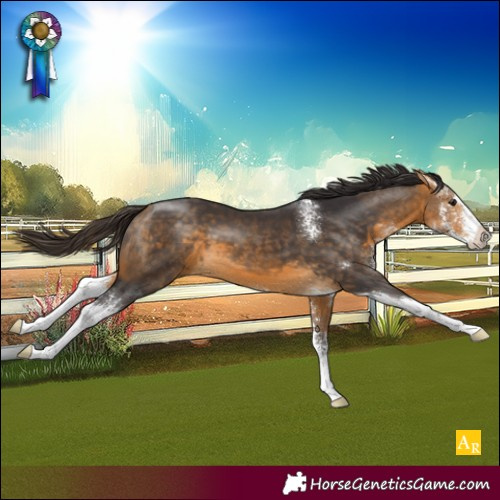Horse Color:Buckskin Sabino 